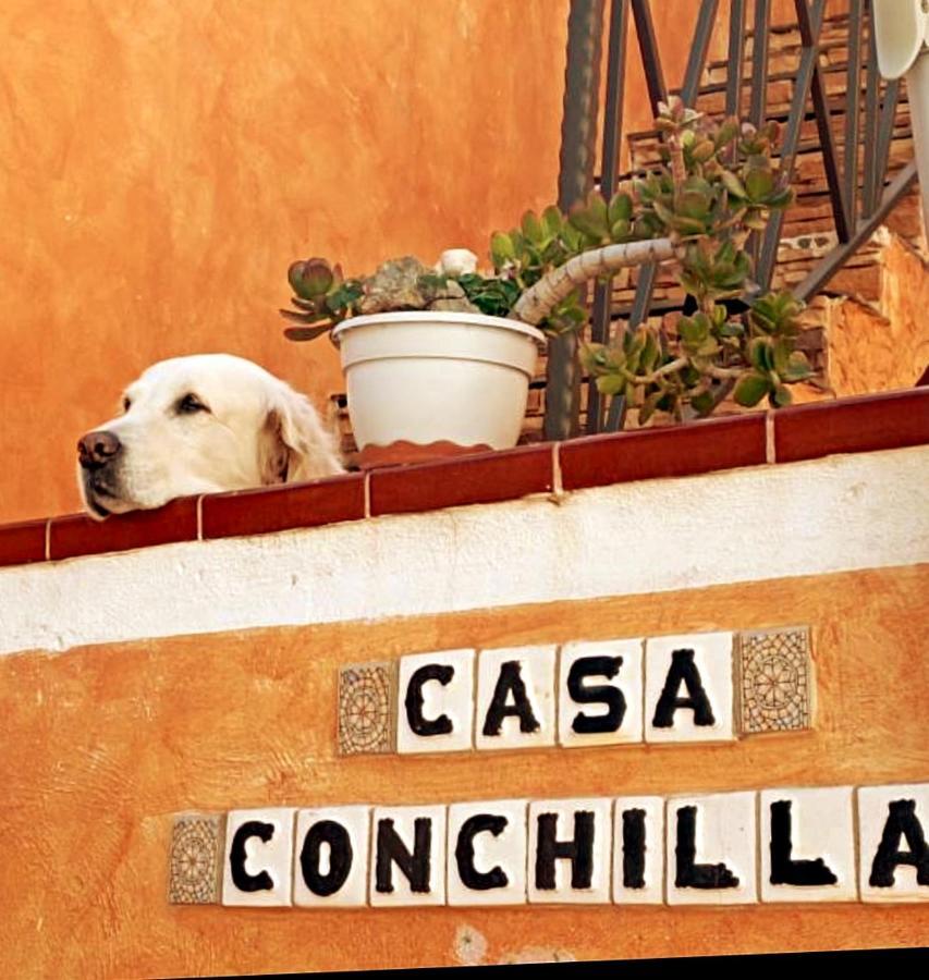 Casa Conchilla, La Casita Apartamento Valle Gran Rey Exterior foto